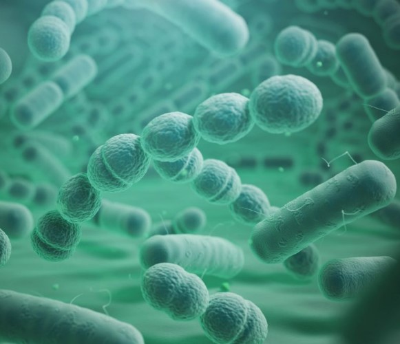 La legionella en torres de refrigeración