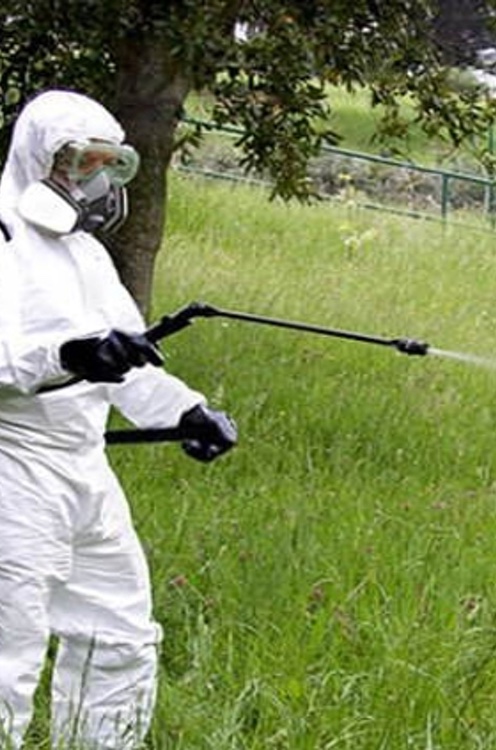 Manteniment de plagues