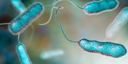 Desinfección con Ozono Coronavirus