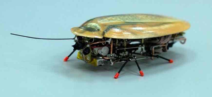 Robots inspirats en paneroles, el futur per als rescats